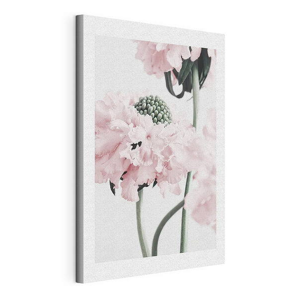 Delicate bloemen in zachte pasteltinten Canvas Schilderijen Delicate bloemen in zachte pasteltinten