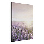 Canvas Schilderijen Lavendelveld bij zonsopgang, serene schoonheid