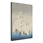Canvas Schilderijen Groep witte vogels met lange snavels