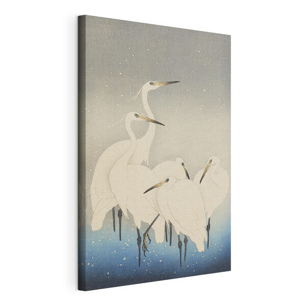 Canvas Schilderijen Groep witte vogels met lange snavels