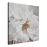 Canvas Schilderijen Delicate bloemblaadjes in zacht witte bloei