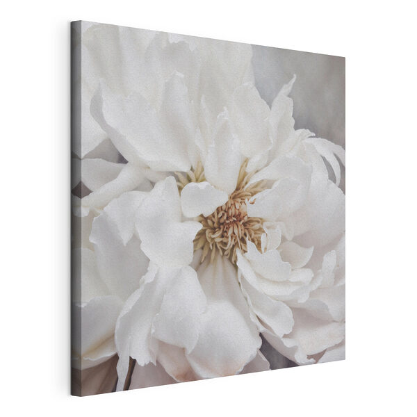 Delicate bloemblaadjes in zacht witte bloei Canvas Schilderijen Delicate bloemblaadjes in zacht witte bloei