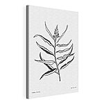 Canvas Schilderijen Zwart-wit tekening van een plant