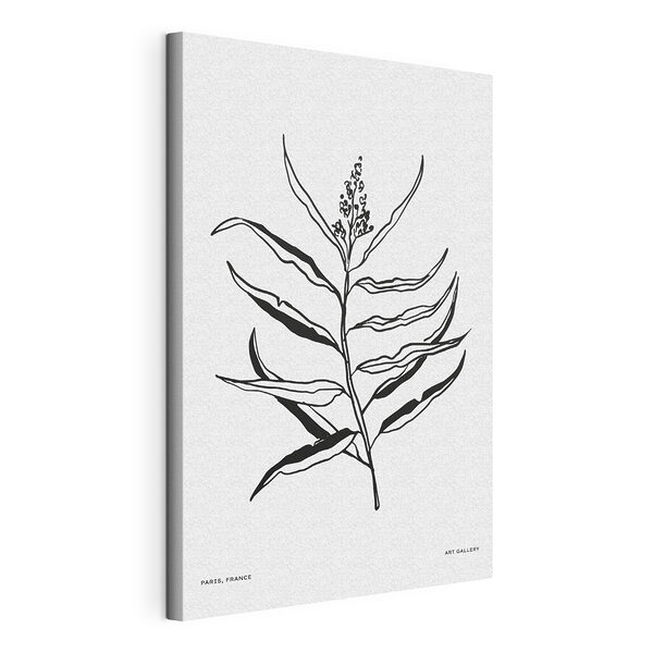 Zwart-wit tekening van een plant Canvas Schilderijen Zwart-wit tekening van een plant