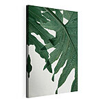 Canvas Schilderijen Blad met ingewikkelde nervenpatronen