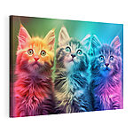 Canvas Schilderijen Groep kittens kijkt omhoog