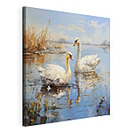 Canvas Schilderijen Witte zwaan zwemmend in water