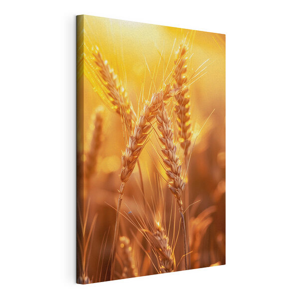 Canvas Schilderijen Zonovergoten tarwe wiegend in de wind