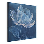Canvas Schilderijen Bloem met veren