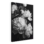Canvas Schilderijen Groep witte bloemen