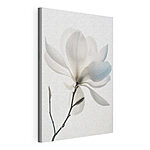 Canvas Schilderijen Witte bloem met bladeren