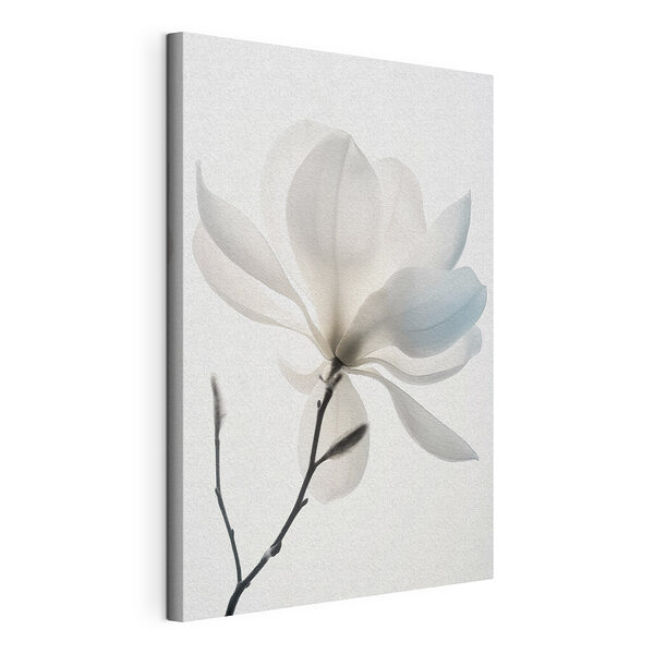 Witte bloem met bladeren Canvas Schilderijen Witte bloem met bladeren