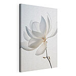 Canvas Schilderijen Witte bloem met bloemblaadjes