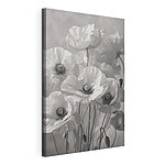 Canvas Schilderijen Groep witte bloemen