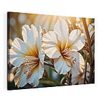 Canvas Schilderijen Zonovergoten bloemen dansen in het licht