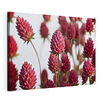Canvas Schilderijen Groep roze bloemen
