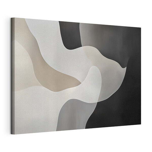 Zwart-witte achtergrond met witte en grijze vormen Canvas Schilderijen Zwart-witte achtergrond met witte en grijze vormen