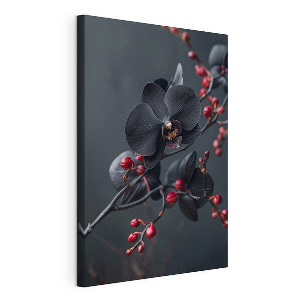Zwarte bloem met rode bessen Canvas Schilderijen Zwarte bloem met rode bessen