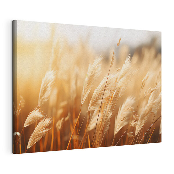 Wuivend graan in amberkleurig licht Canvas Schilderijen Wuivend graan in amberkleurig licht