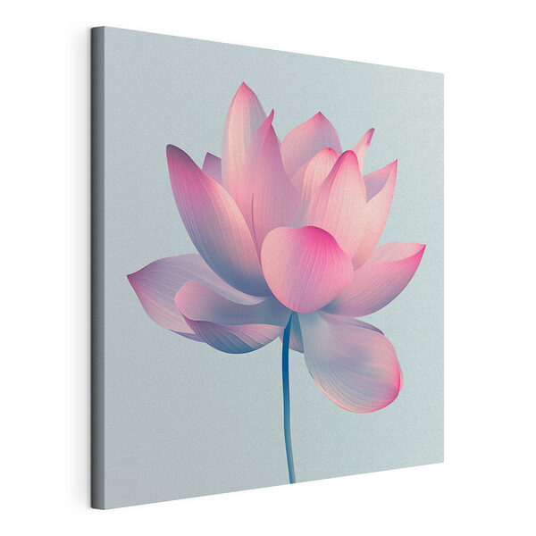 Canvas Schilderijen Roze en witte bloem