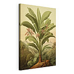 Canvas Schilderijen Grote plant met bloemen en bladeren