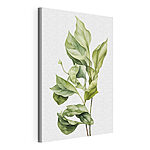 Canvas Schilderijen Elegante Groene Bladeren Kunst