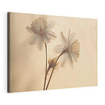 Canvas Schilderijen Zachte bloemen in zacht licht