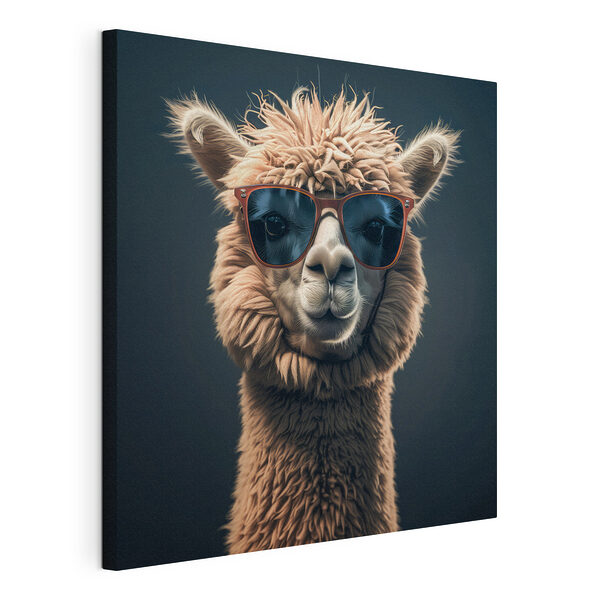 Lama met zonnebril Canvas Schilderijen Lama met zonnebril