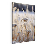 Canvas Schilderijen De winter fluistert in berijpte bloemen