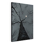 Canvas Schilderijen Boom met de maan op de achtergrond