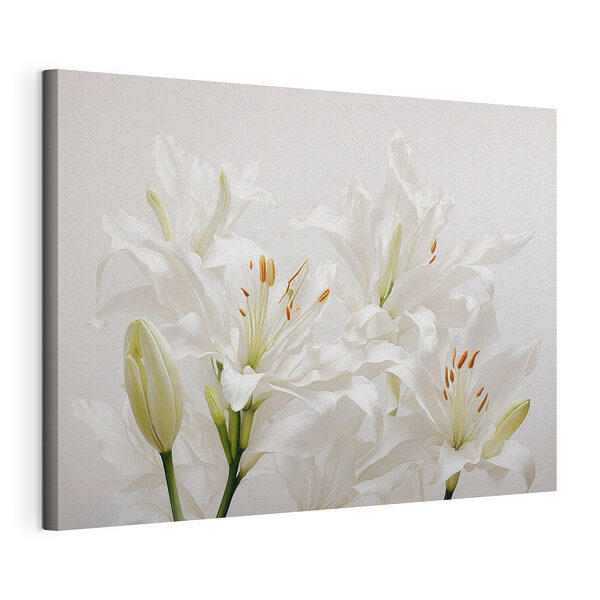 Groep witte bloemen Canvas Schilderijen Groep witte bloemen