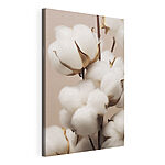 Canvas Schilderijen Delicate katoenen bloemen in natuurlijk licht