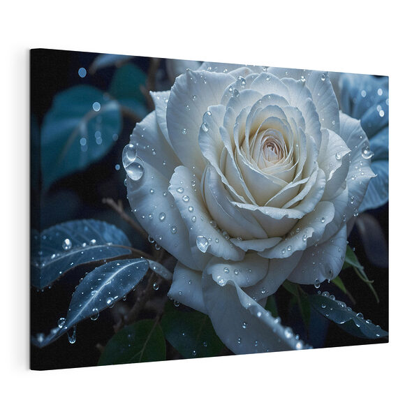 Canvas Schilderijen Witte roos met waterdruppels erop