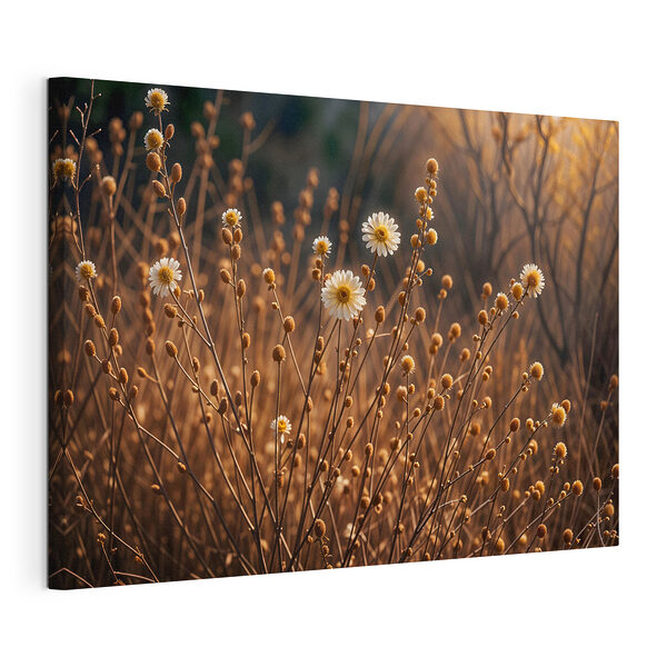 Canvas Schilderijen Groep witte bloemen op bruine stengels