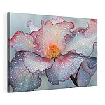 Canvas Schilderijen Delicate bloemblaadjes versierd met druppels