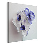 Canvas Schilderijen Elegante bloemen in zachte tinten