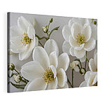 Canvas Schilderijen Groep witte bloemen