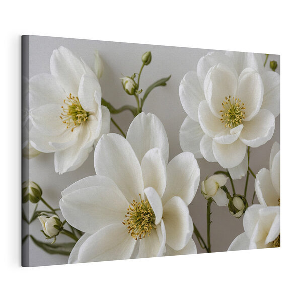 Groep witte bloemen Canvas Schilderijen Groep witte bloemen