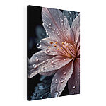 Canvas Schilderijen Delicate bloemblaadjes versierd met druppels