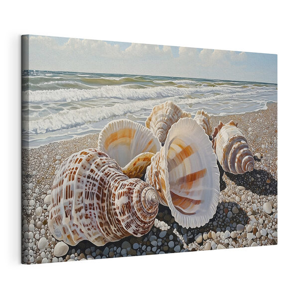 Zeeschelpen op een strand Canvas Schilderijen Zeeschelpen op een strand
