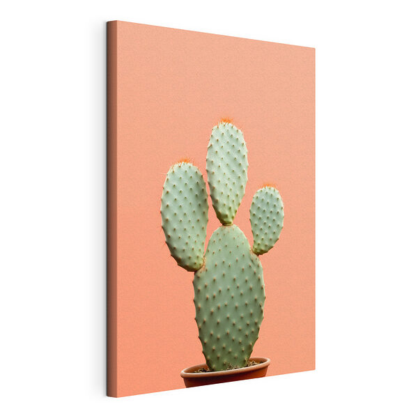 Cactus met rode stekels Canvas Schilderijen Cactus met rode stekels