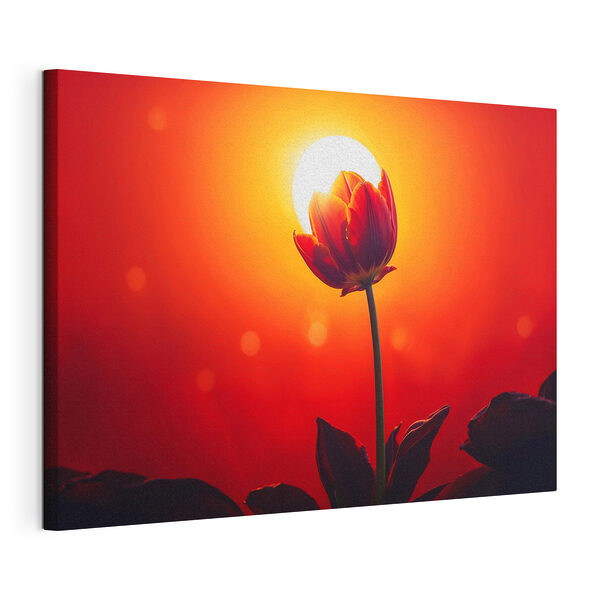 Rode bloem met de zon erachter Canvas Schilderijen Rode bloem met de zon erachter