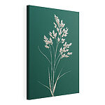 Canvas Schilderijen Witte plant met bladeren eraan