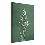 Canvas Schilderijen Witte plant met lange stengels