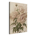 Canvas Schilderijen Fijne bloemen in zachte kleuren