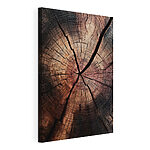 Canvas Schilderijen Natuurlijke patronen in verouderd hout