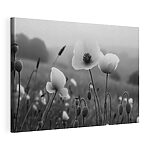 Canvas Schilderijen Verfijnde bloemen in zachte focus
