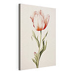 Canvas Schilderijen Fijne tulp in zachte tinten