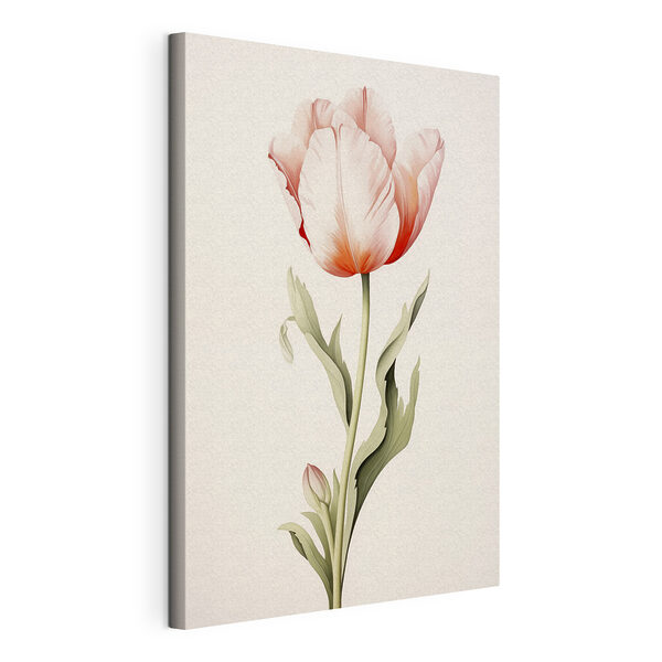 Canvas Schilderijen Fijne tulp in zachte tinten