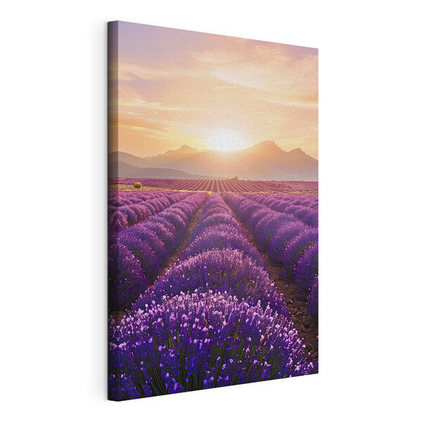 Lavendelveld met bergen op de achtergrond Canvas Schilderijen Lavendelveld met bergen op de achtergrond